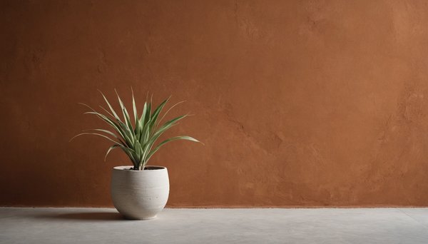 L'enduit à l'argile : élégance et écologie pour vos murs